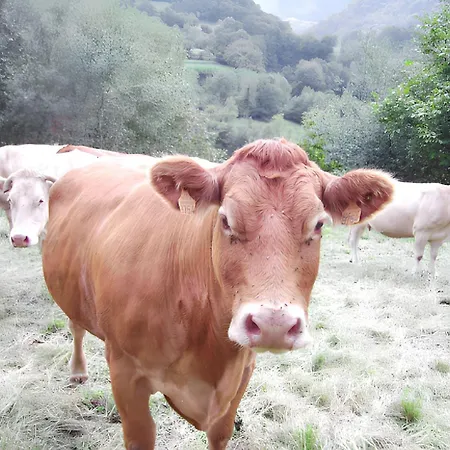 à - 30 M² - Vue Sur La Montagne Apartamento *