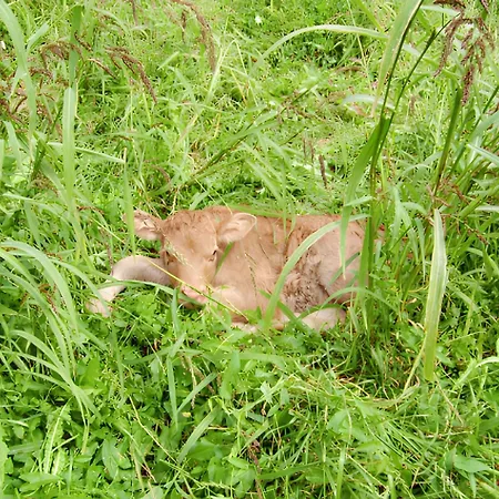 à - 30 M² - Vue Sur La Montagne Apartamento