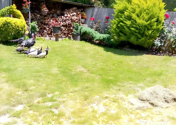 A - 30 M² - Vue Sur La Montagne * Juncalas