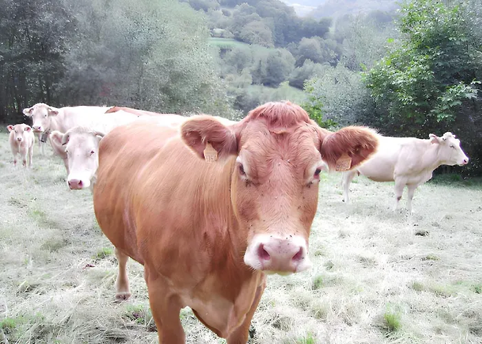 A - 30 M² - Vue Sur La Montagne Apartmán *