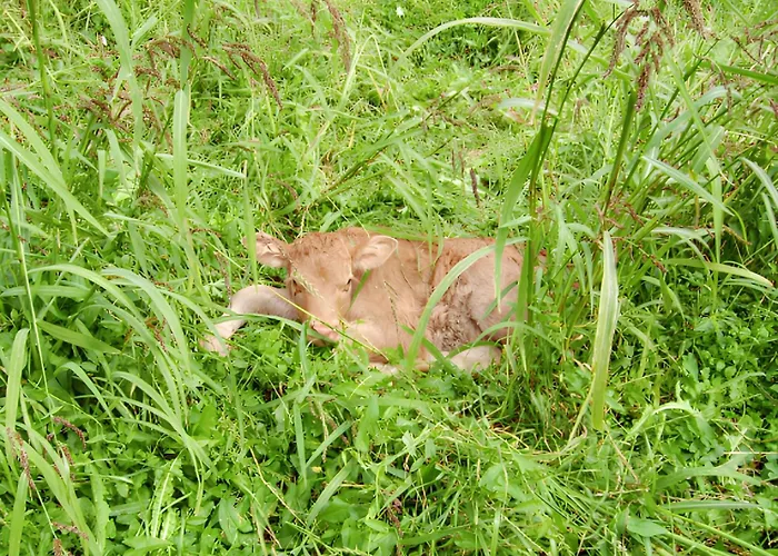 A - 30 M² - Vue Sur La Montagne Apartmán